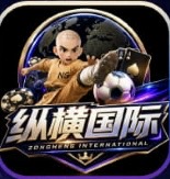 纵横国际